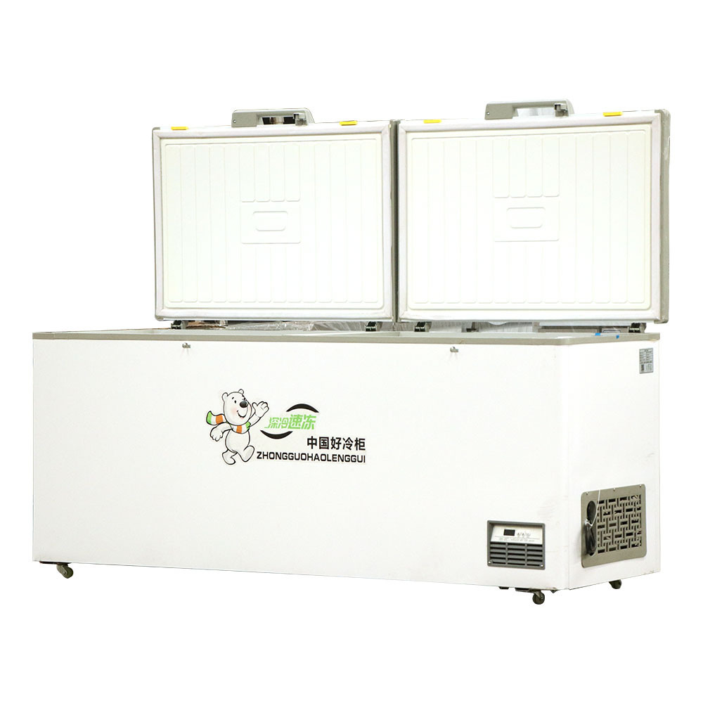 Home Chest Freezer for Supermarket Commercial Freezer Double Door Fridge used kitchen equipment