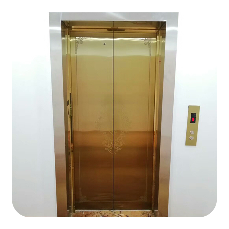 2-4 Floors 300KG CE Certificated Home Elevator Luxury Observation Residential Lift for Sale