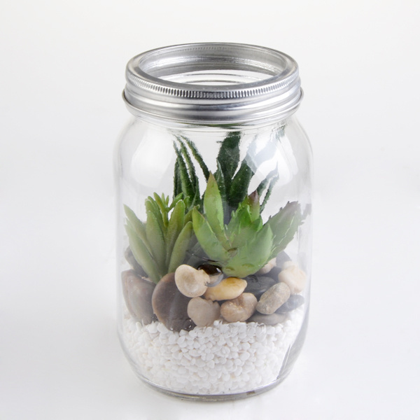 wholesale mini glass plant terrarium mason jar glass vase