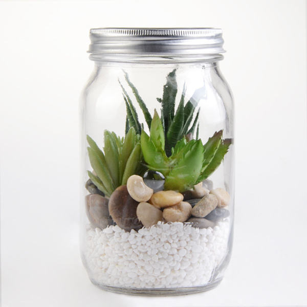 wholesale mini glass plant terrarium mason jar glass vase