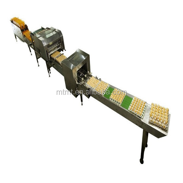 2021 automatic egg tray packing machine with super quality