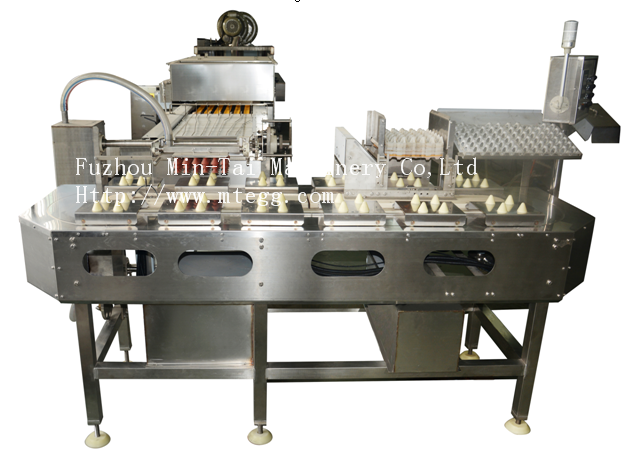 2021 egg washing grading packing machine automatic