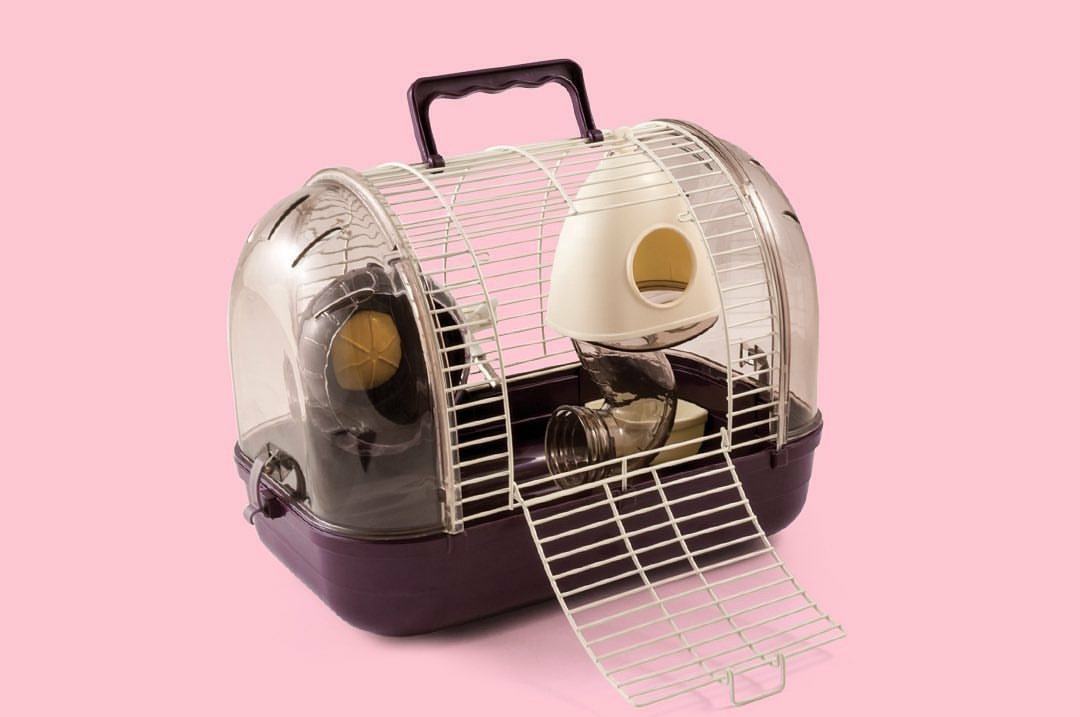 Transparent Hamster Cage Outdoor Travel Carrier Transparent Bird Carrier