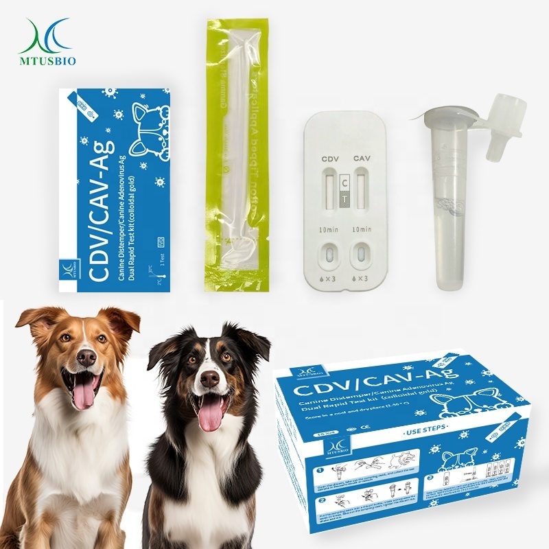 Canine Distemper/Canine Adenovirus Antigen Dual Rapid Test kit CDV+CAV  pet test card