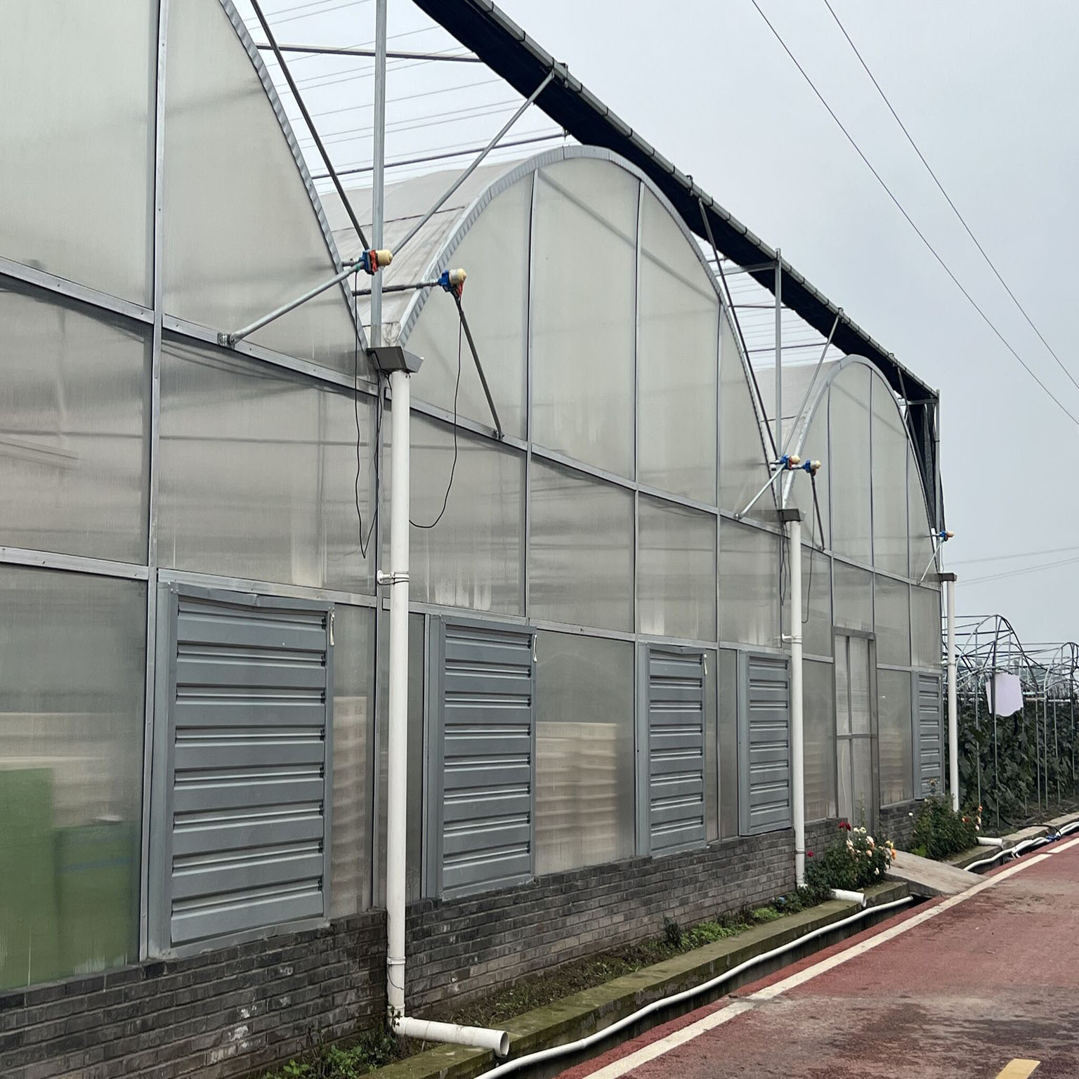 Gold Quality Multi Span Film Cover Vegetable Greenhouse With Sliding Door