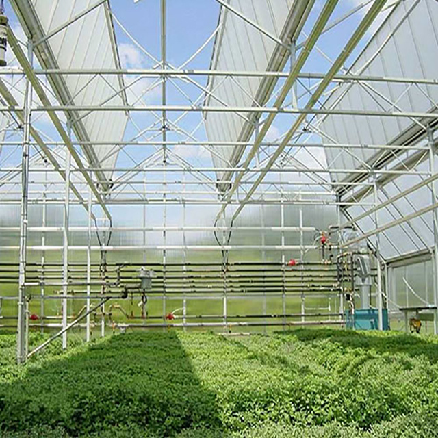 The Cheapest Hot Sale  large agriculture forever flowering glass greenhouse for sale