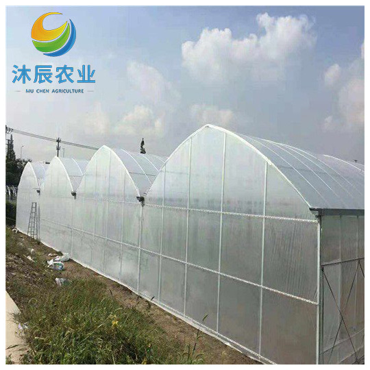 Gold Quality Multi Span Film Cover Vegetable Greenhouse With Sliding Door