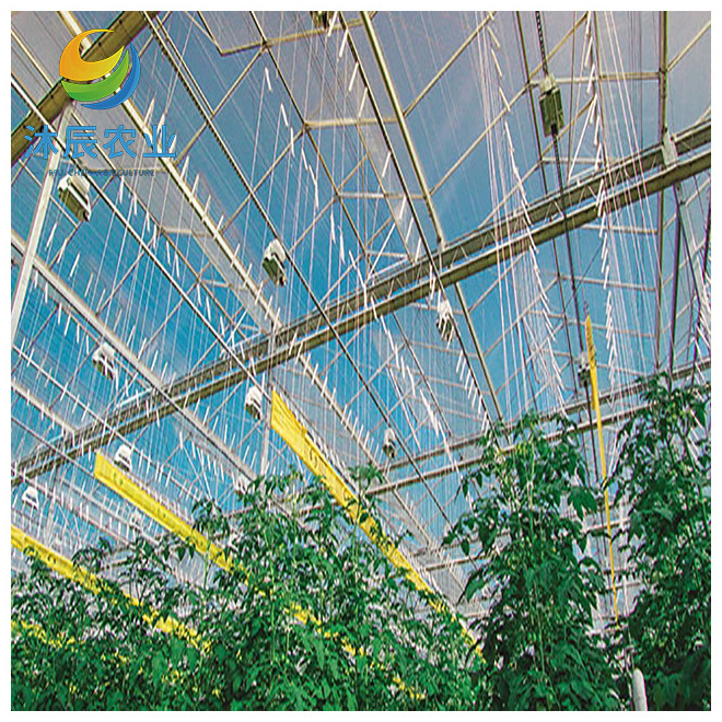 heating systems glass multi-span greenhouse used for sale