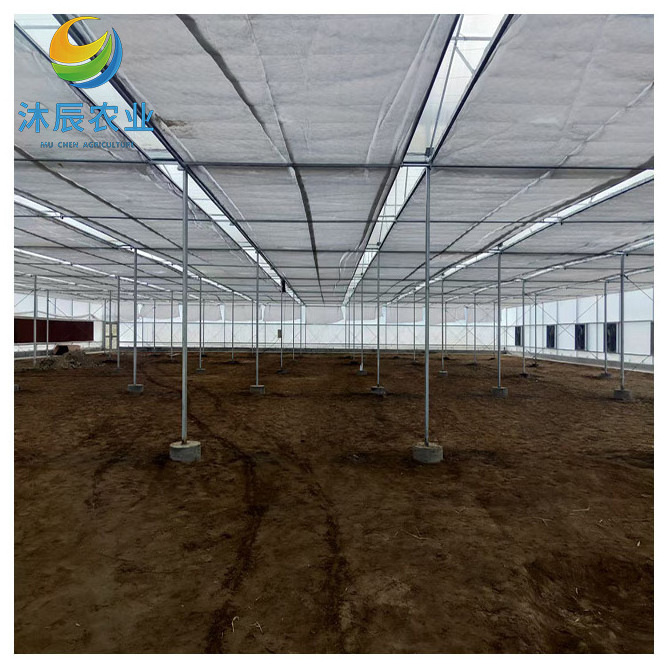 heating systems glass multi-span greenhouse used for sale