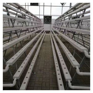 Commercial Good Quality Hydroponic Nft Growing System For Sale/leaf Vevatable