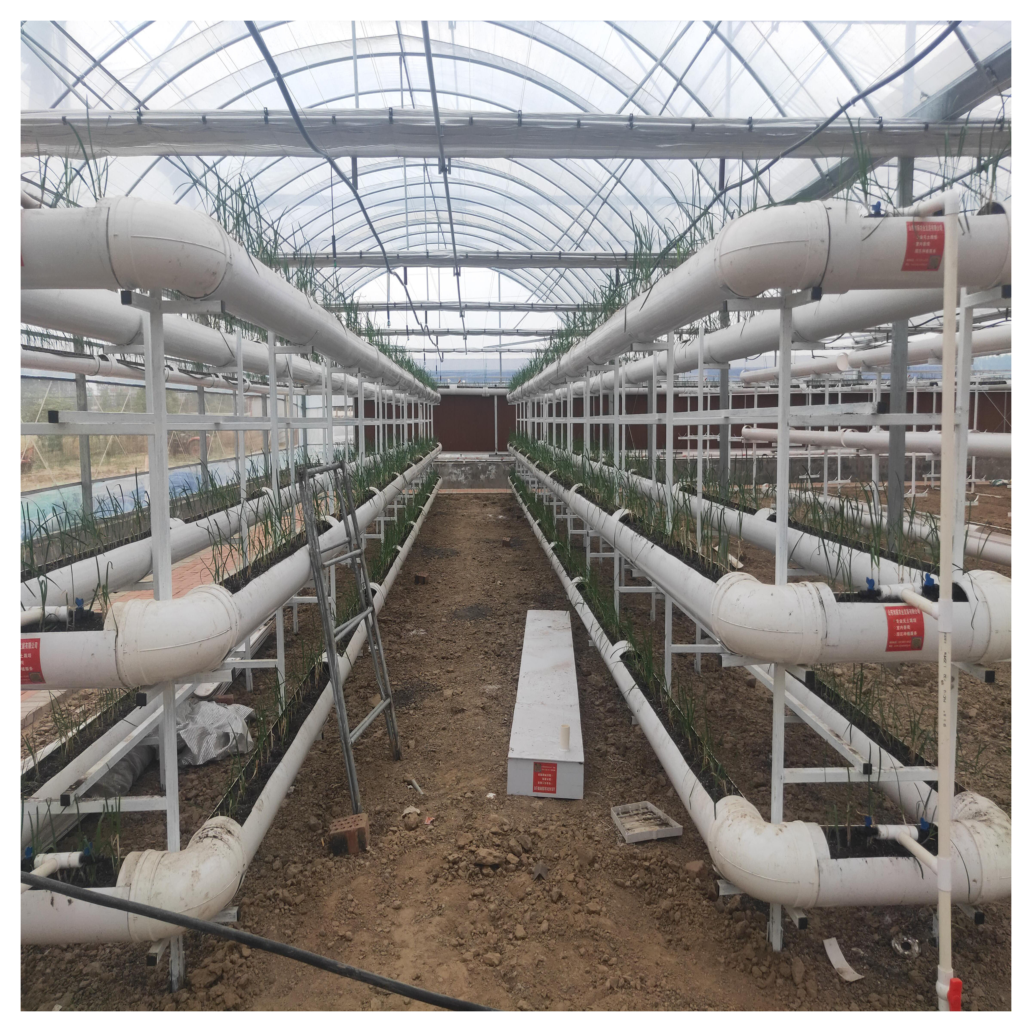 Commercial Good Quality Hydroponic Nft Growing System For Sale/leaf Vevatable