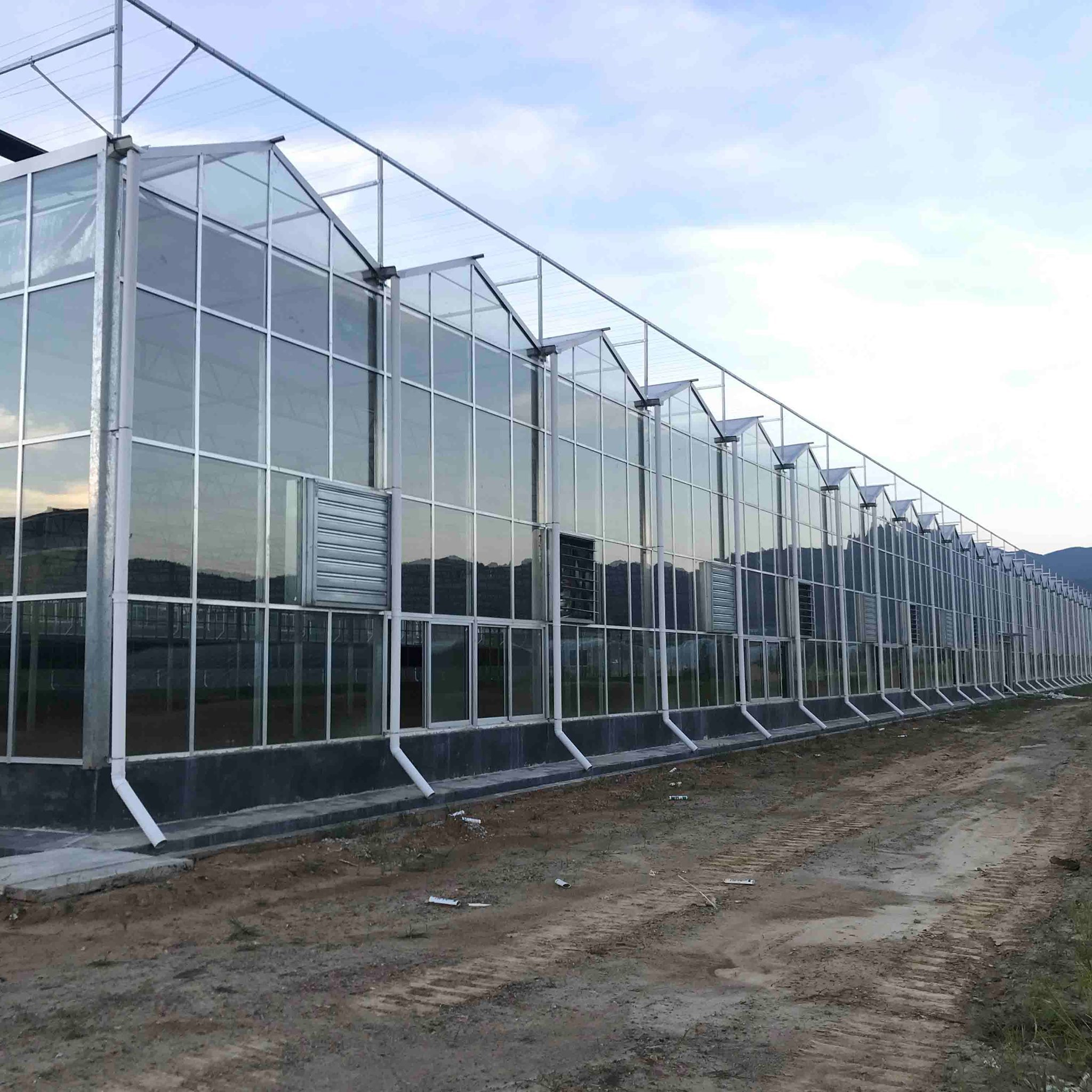 The Cheapest Hot Sale  large agriculture forever flowering glass greenhouse for sale