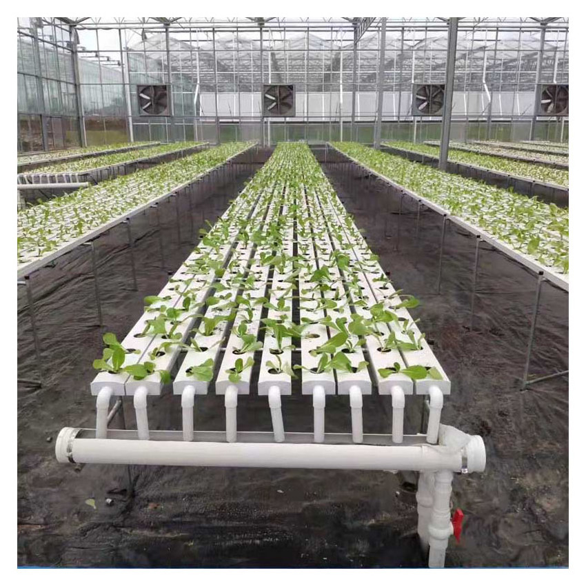 Commercial Good Quality Hydroponic Nft Growing System For Sale/leaf Vevatable