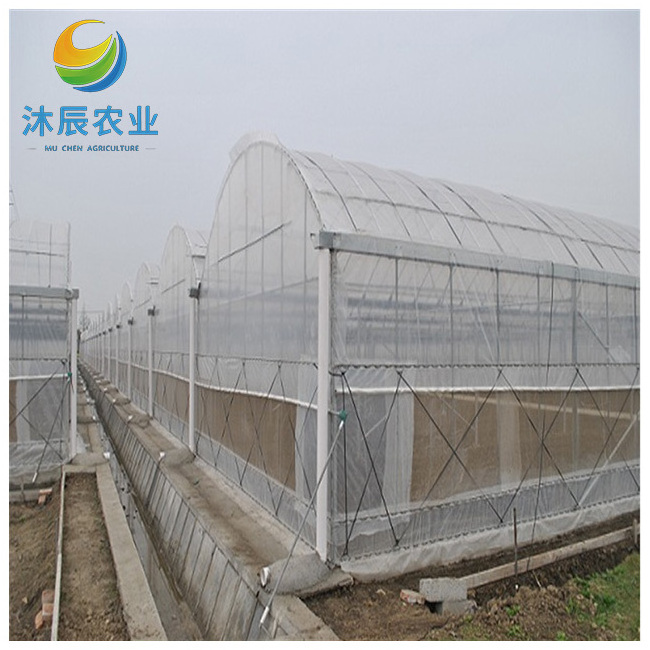 Gold Quality Multi Span Film Cover Vegetable Greenhouse With Sliding Door