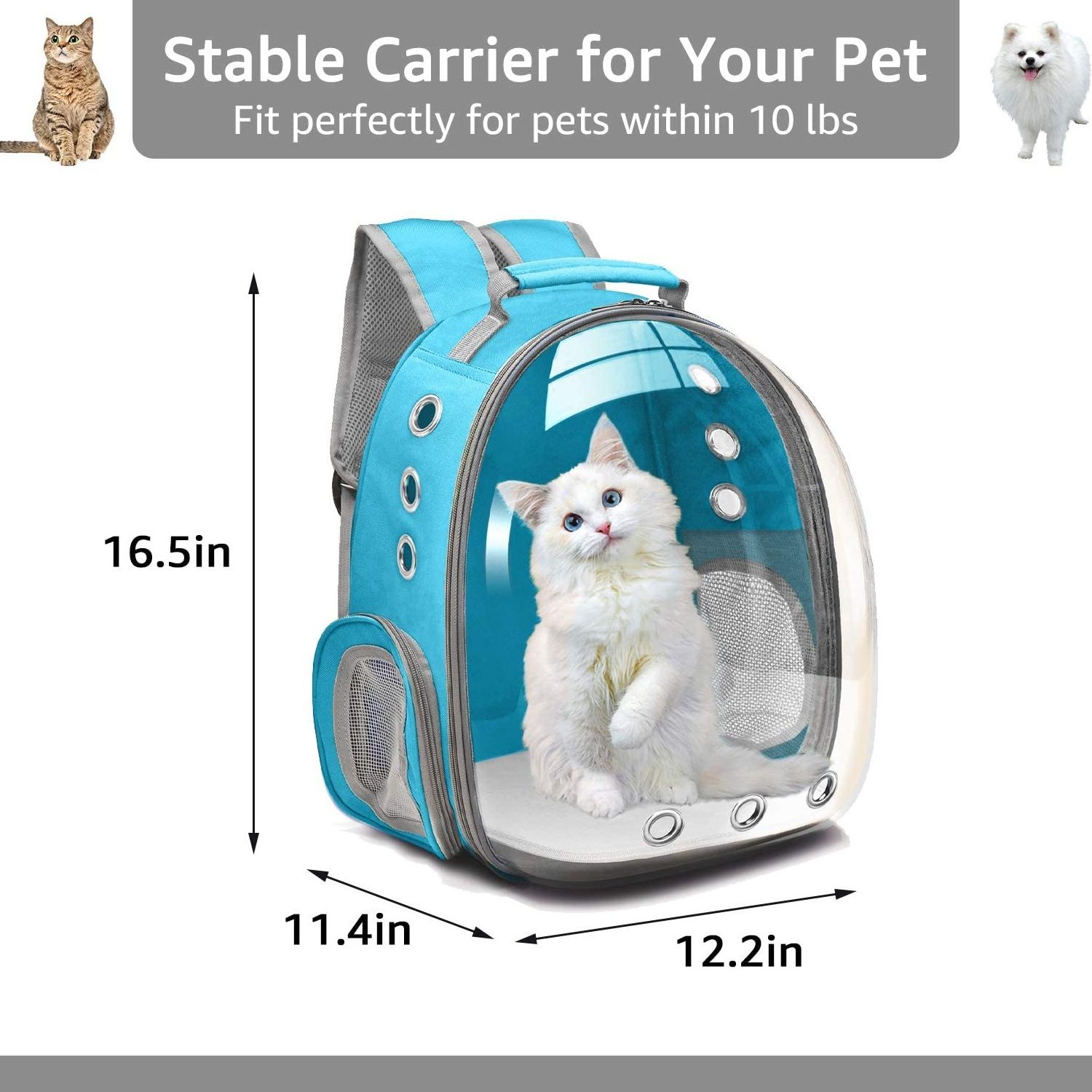 Pet carriers High Quality Airline Approved Travel Pet Cat Carrier Bag Backpack Pet Carrier Bubble Bag