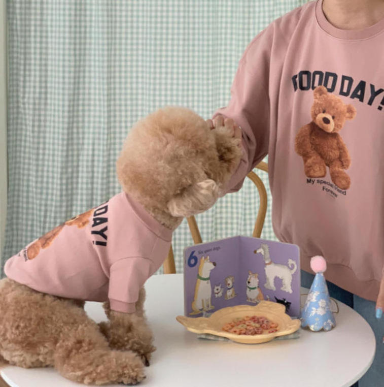 Autumn And Winter Bear Pet Clothes Sweatshirts With Teddy Patterns Warm Fashion Pet Supplies Clothes