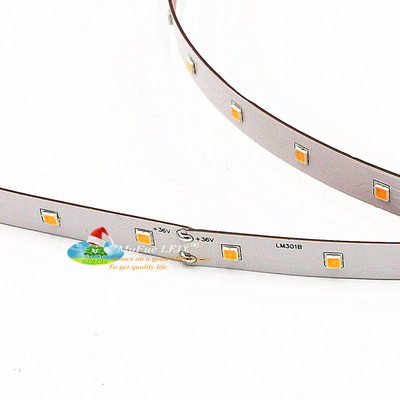 samsung LM301B smd3030 led strip 48LED 36volt without no resistor BestSuppliers