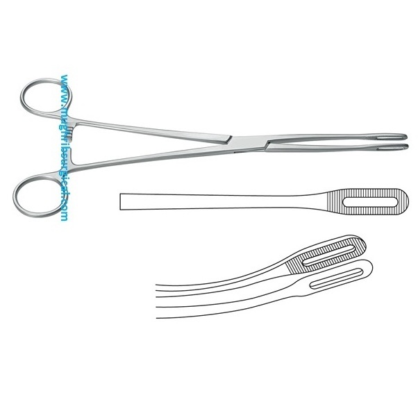 Foerster Sponge holding Forceps Slim Serrated jaw Straight 25cm polypus and Dressing Forceps