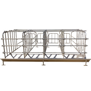 automatic farm gestation stall for pigs gestation create for pig