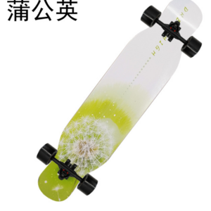 Sport Skateboard Complete Skateboard Maple Wood Adult Tricks Skate Board Fo Kids Boys Girls