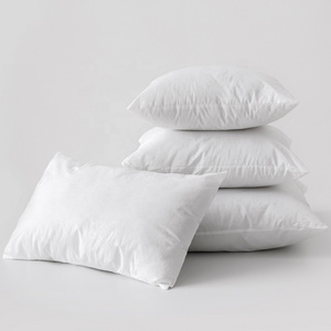 Wholesale white 100% polyester fill 18x18 45*45 50x50cm cheap vacuum sofa pillow cushion brush comfort pillow cushion insert