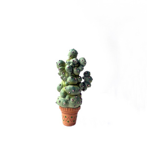 Custom Harry's Movie Peripheral Mimbulus mimbletonia Resin Potted Plant Cactus Magical Plant for Ornament collection