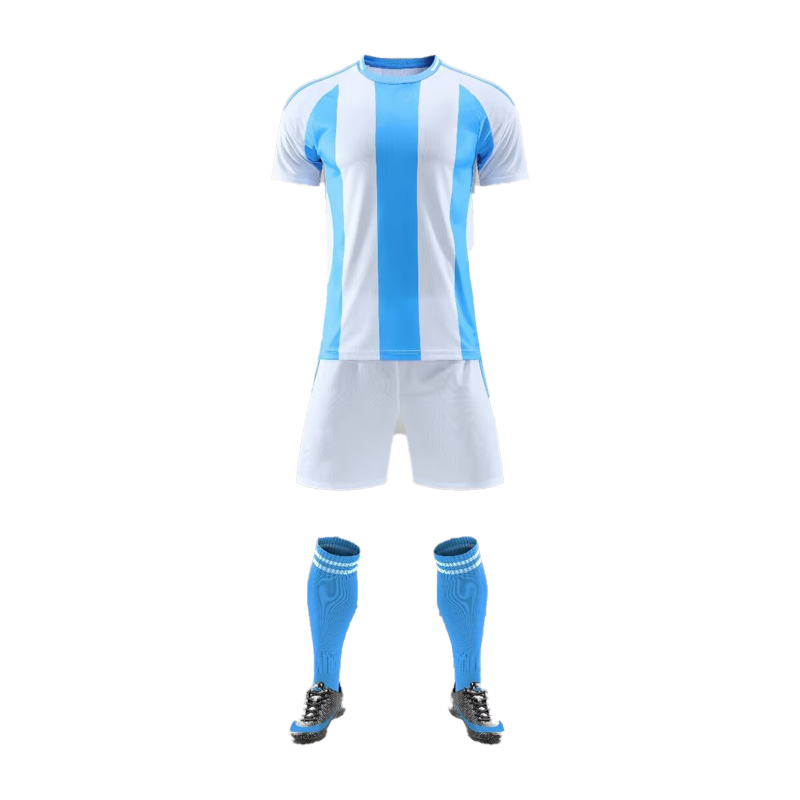 Wholesale High Quality Breathable 24-25 Argentina National Soccer Jersey