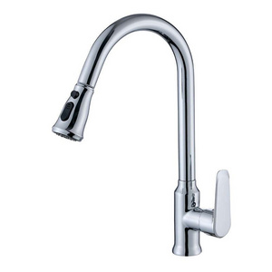 Kitchen Faucet Brass Dual Handle Sense Faucets Pull Out Modern Deck Mounted Polished 2 Holes Kitchen Faucet