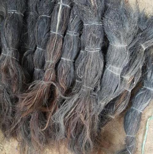 Animal Tail Hairs & Main Hairs For Making Brush Buffalo Cow Horse Tail Hairs & Main Hairs Dry clean Washed Tail Hairs