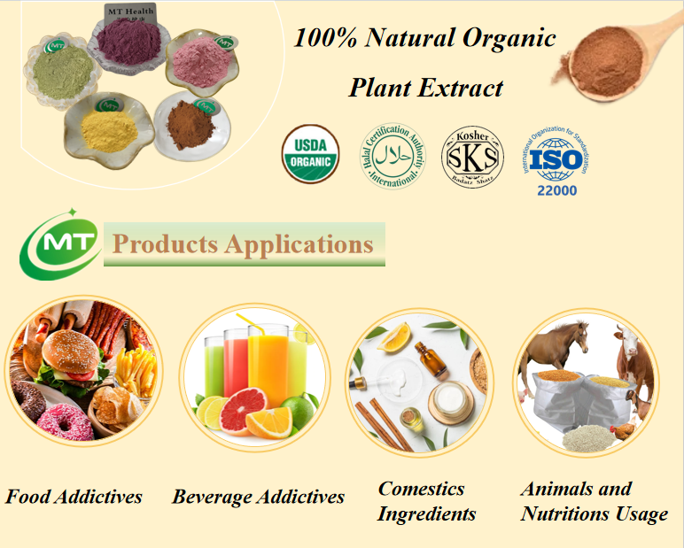 ISO Factory Supply Pure Natural Mushroom Extract Free Sample Polysaccharides Organic Dictyophora Indusiata Extract