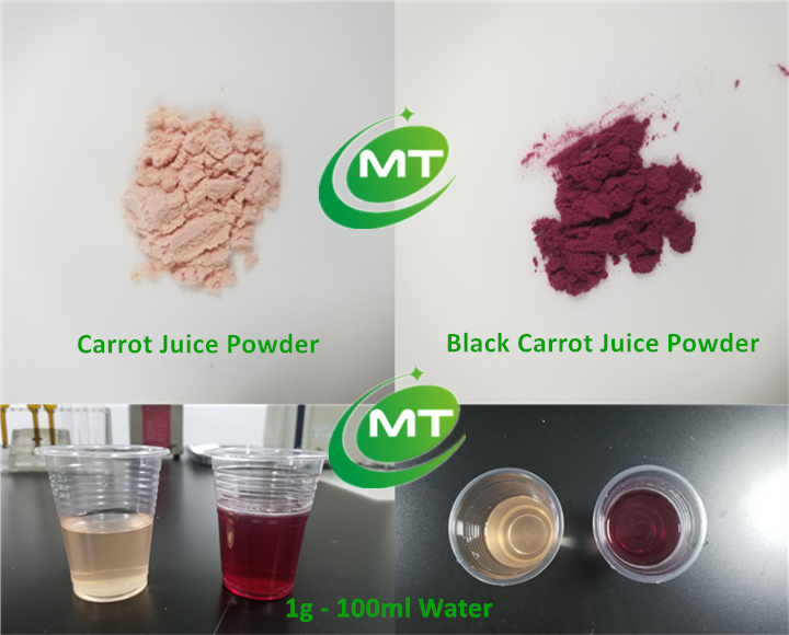 Bulk High Quality 100% Natural Food Coloring Black Carrot Juice Concentrate Powder