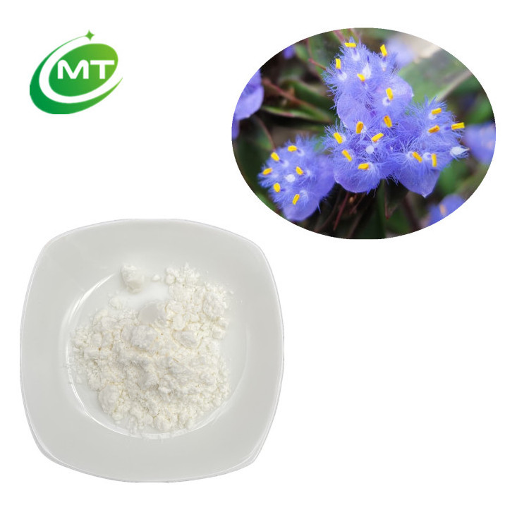 Free Sample 100% Natrual Organic Cyanotis Vaga Extract powder 98%Ecdysterone Cyanotis barbata extract Tradescantia vaga extract