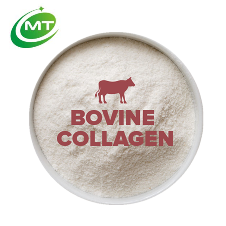 Skin Care Bone Support Nutritious 2000DA ex Bovine Porcine Chicken Fish Collagen Powder/Animal Collagen Protein Powder