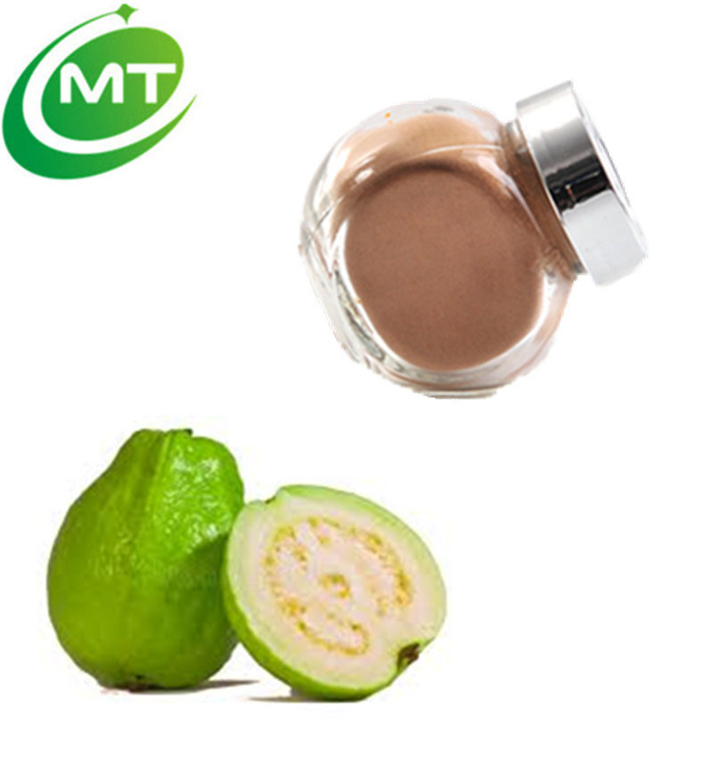 100% pure Psidium guajava L. Powder/hot sale Guava extract