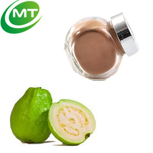 100% pure Psidium guajava L. Powder/hot sale Guava extract