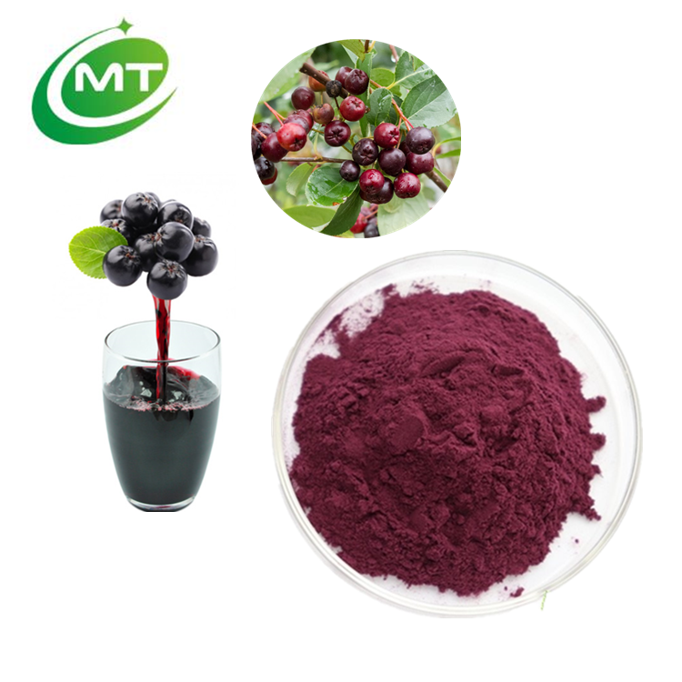 Organic Natural Water Soluble Pure Aronia melanocarpa Extract Powder Aronia Berry Juice Powder/Chokeberry Fruit Juice Powder