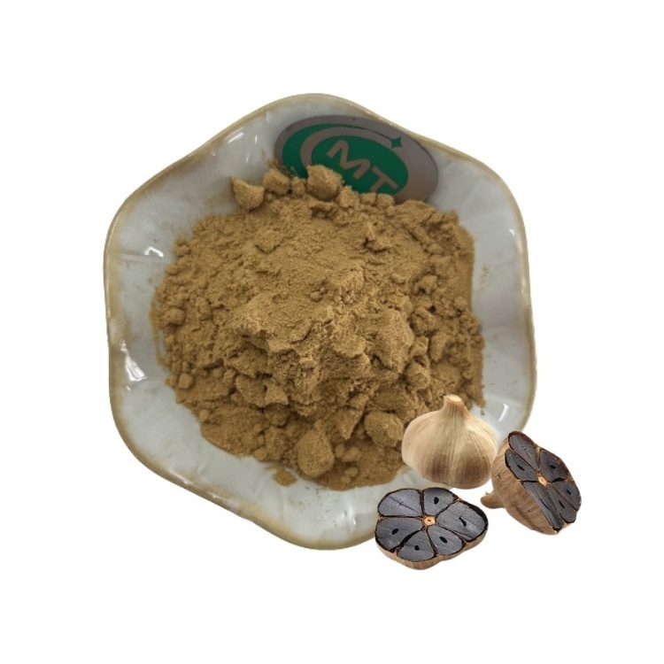 Factory Supply Free Sample Allium sativum L/ Black Garlic Powder 10:1 Black Garlic Extract