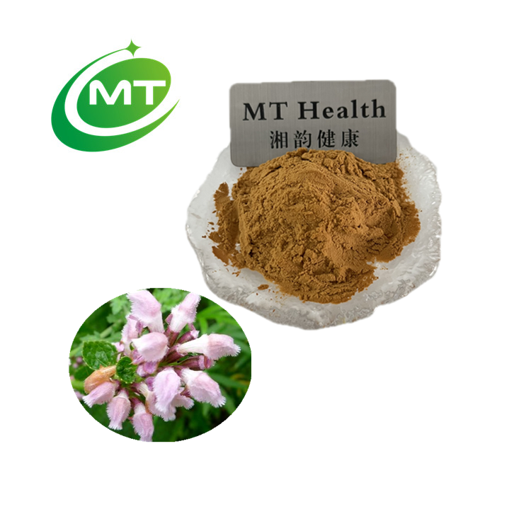 100% pure natural Phlomis Umbrosa Turcz extract with best price