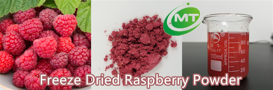 Natural Good Flavor Raspberry Extract Powder Freeze Dried Raspberry Powder