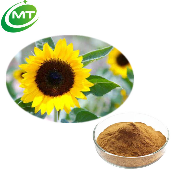 100% natural Organic Phosphatidylserine Sunflower Helianthus annuus Seed Extract Powder for hair and skin care