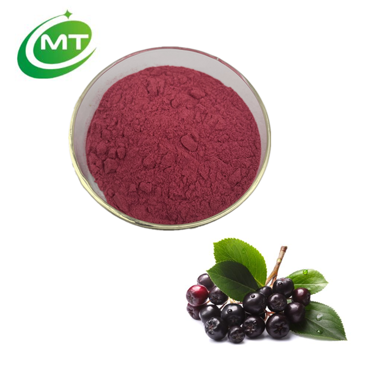 Organic Natural Water Soluble Pure Aronia melanocarpa Extract Powder Aronia Berry Juice Powder/Chokeberry Fruit Juice Powder