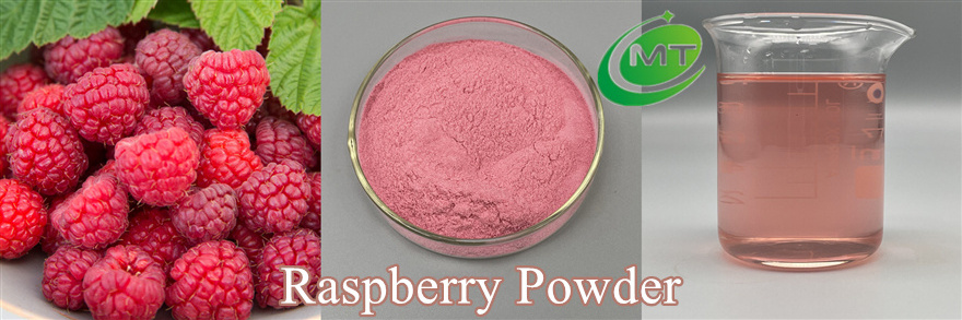 Natural Good Flavor Raspberry Extract Powder Freeze Dried Raspberry Powder