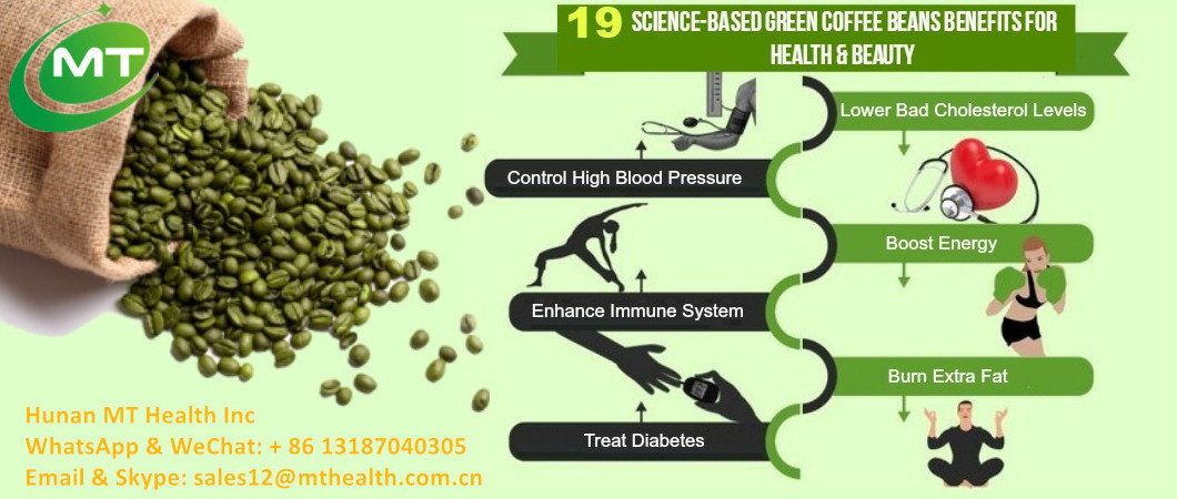 Chinese Coffea arabica L Green Coffee Bean Extract  Powder