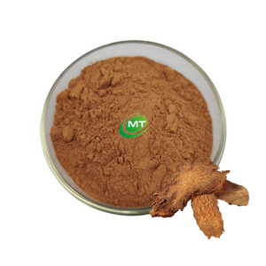 HPLC High Quality Sophora Japonica Bud Extract 95% Quercetin Powder Sophora Japonica Extract