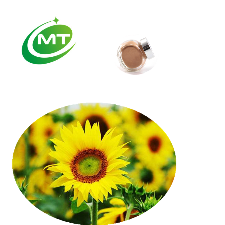 100% natural Organic Phosphatidylserine Sunflower Helianthus annuus Seed Extract Powder for hair and skin care