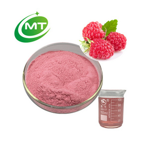 Natural Good Flavor Raspberry Extract Powder Freeze Dried Raspberry Powder