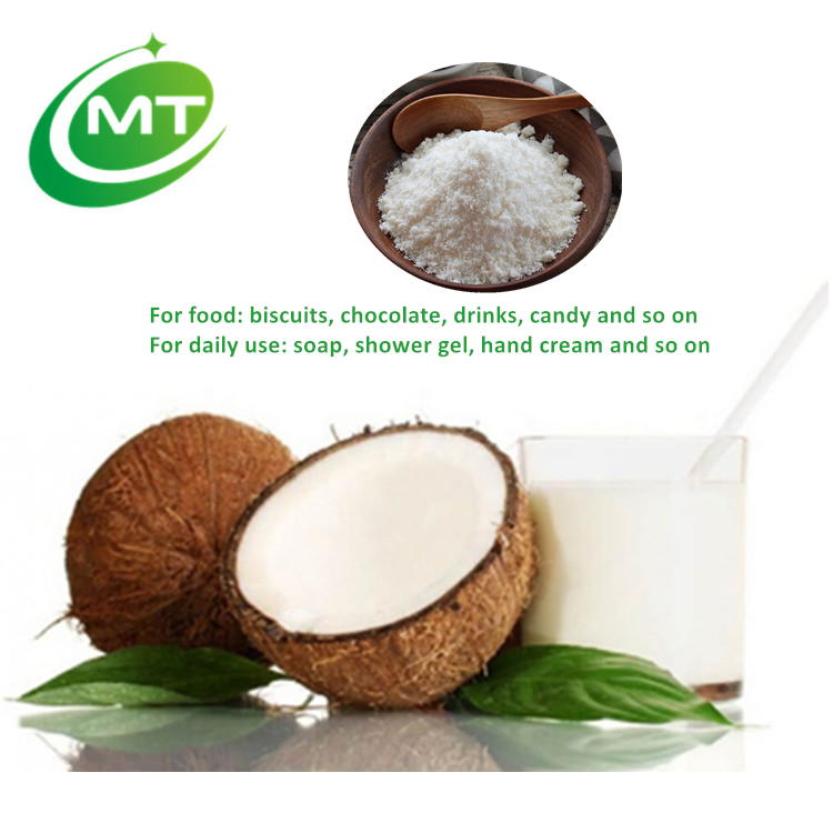 Wholesale Supplier Good Flavor 100% natural Organic Low Fat bulk dried Coconut Milk Powder