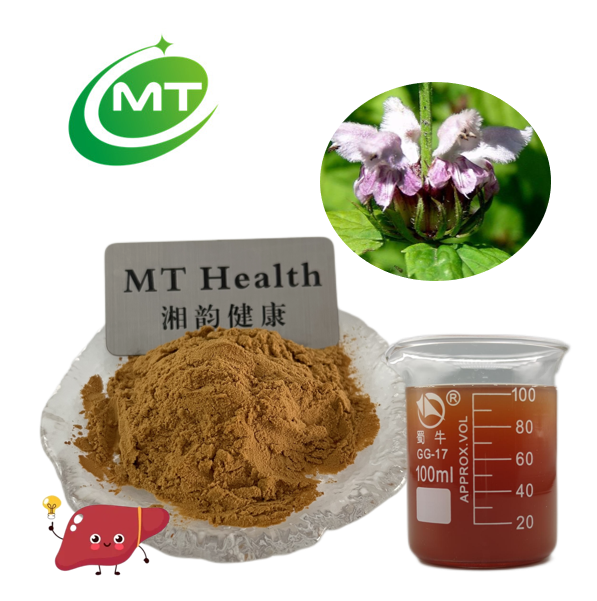 100% pure natural Phlomis Umbrosa Turcz extract with best price