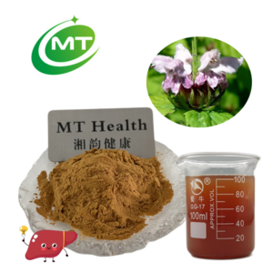 100% pure natural Phlomis Umbrosa Turcz extract with best price