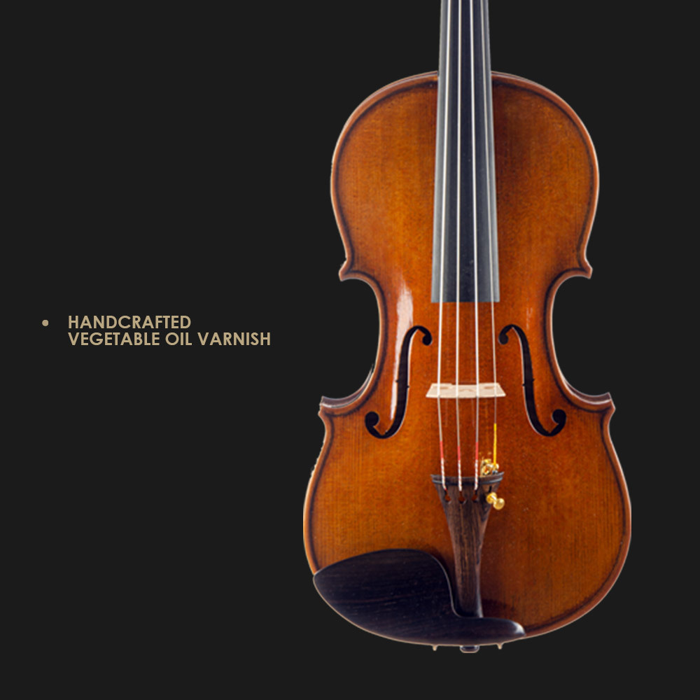 CHRISTINA S200A Best Brand Performing Violin Free Case String and Bow Spruce Face Material